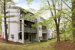Retro Condo w/ Beach + Pet Friendly | Mins To Downtown - Image 3